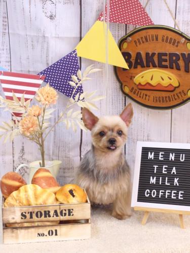 20240906リムちゃん